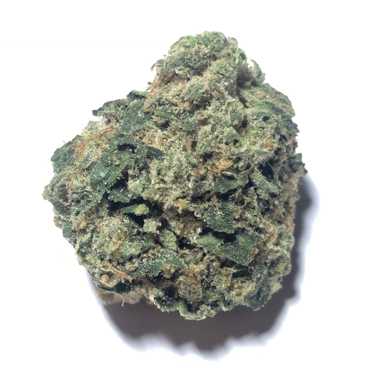 Ice Cream Cake - $99 1/2 Special!