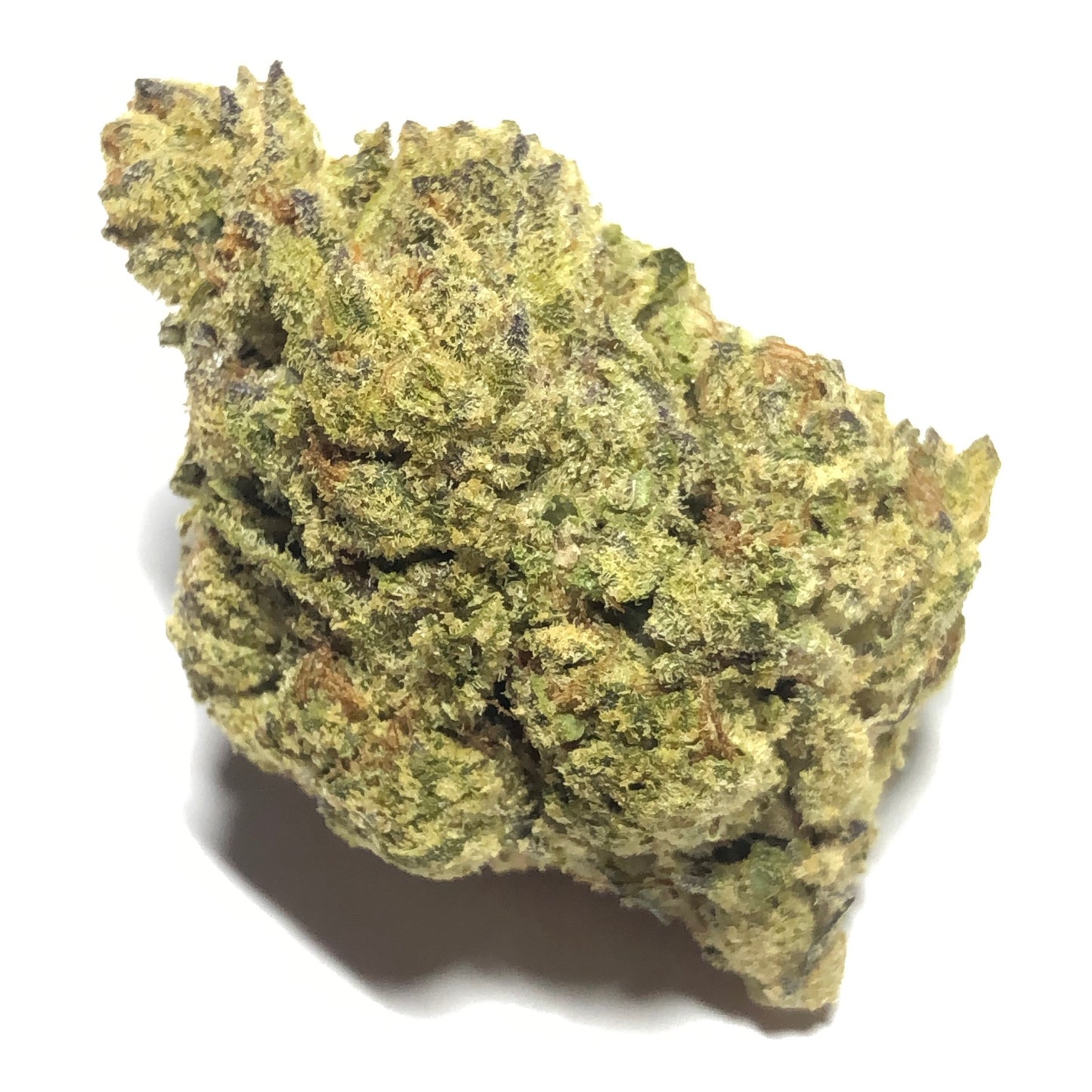 White Truffle