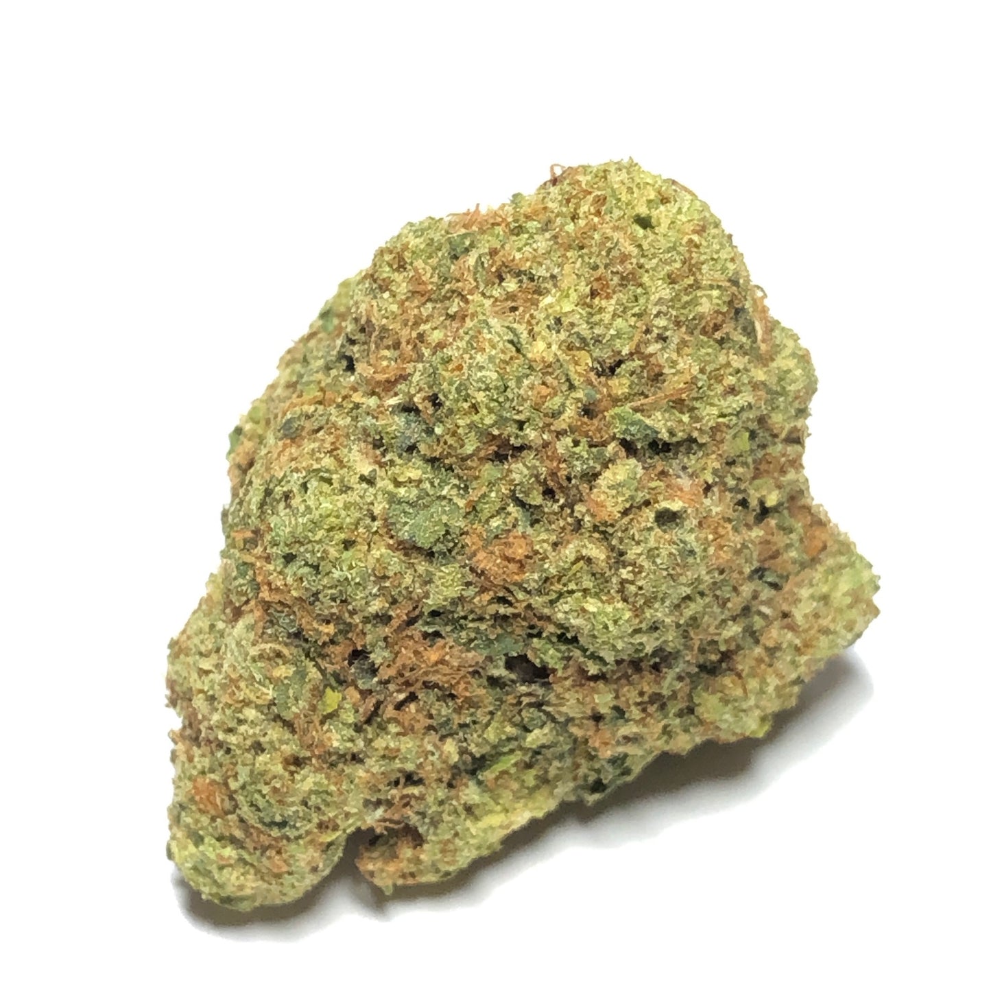 WiFi OG - $69 1/4 Special!