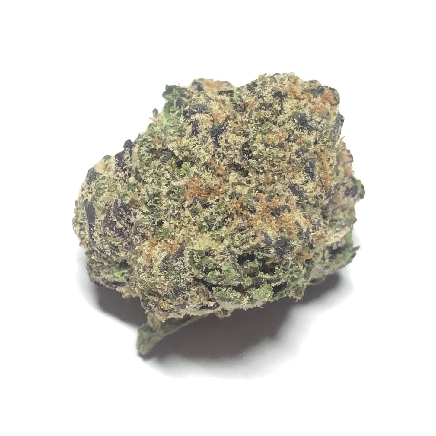 LA Pop Rocks - $89 1/2 Special!