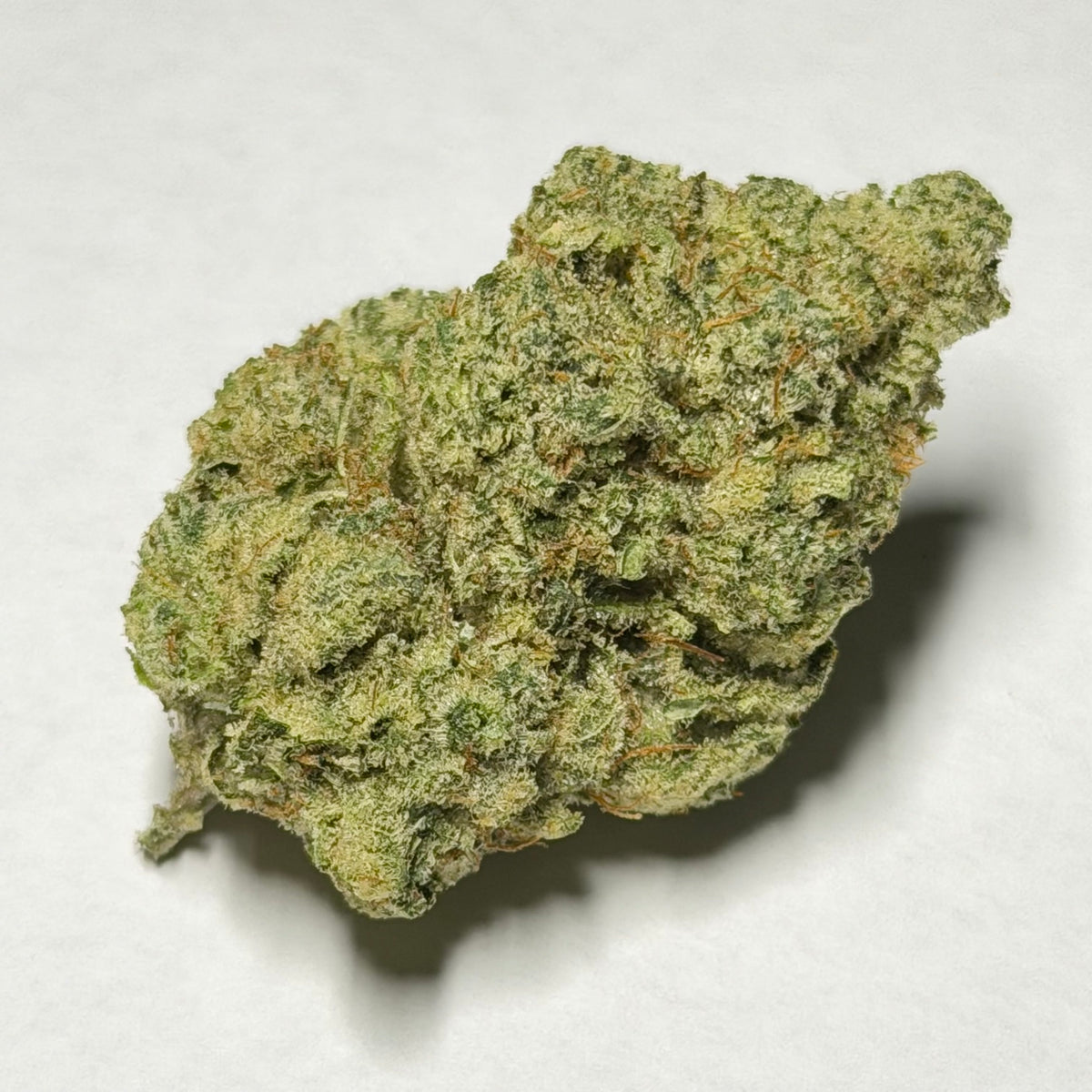 Gorilla Glue