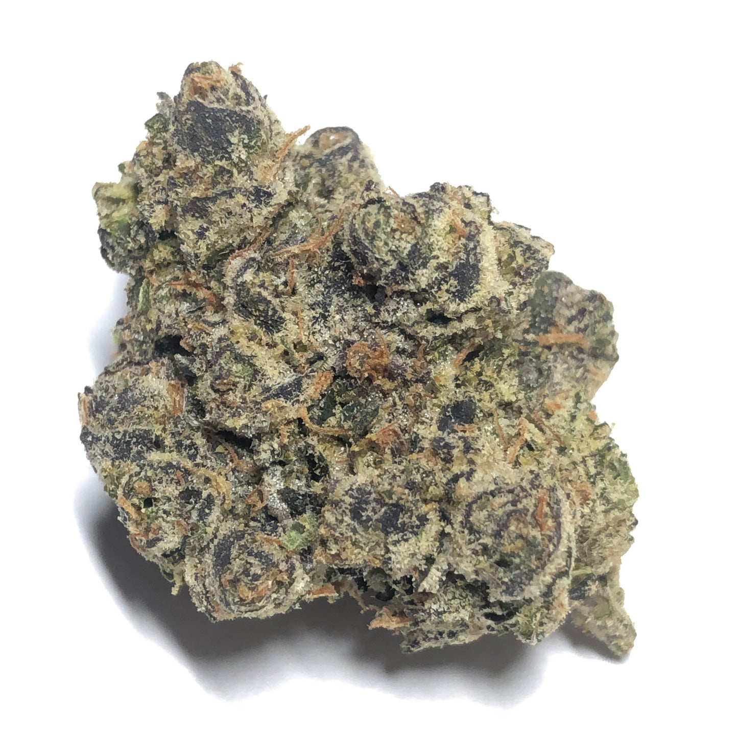 Bermuda Triangle OG
