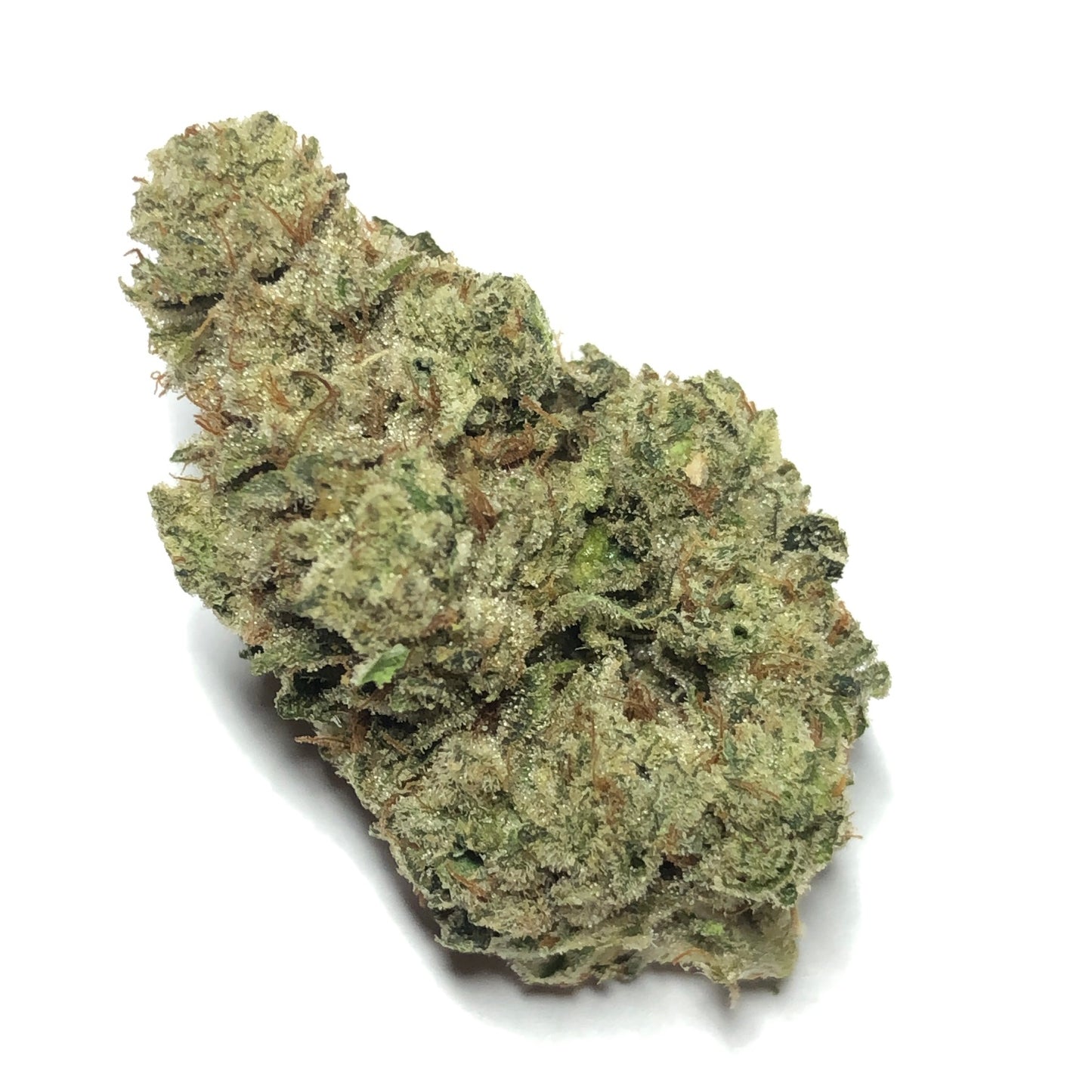 GG#4 - $75 1/4 Special!