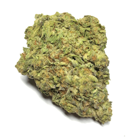 Fatso - $79 1/2 Special!