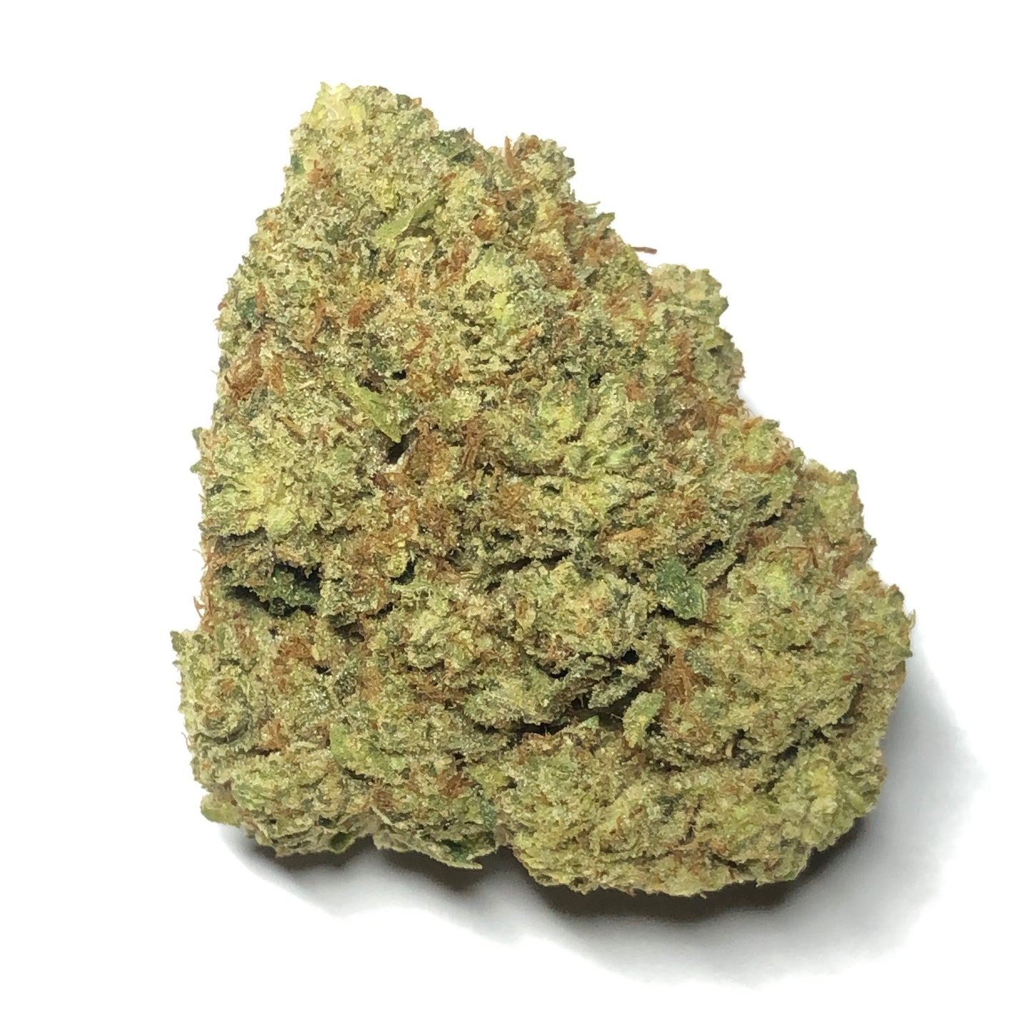 Legend OG