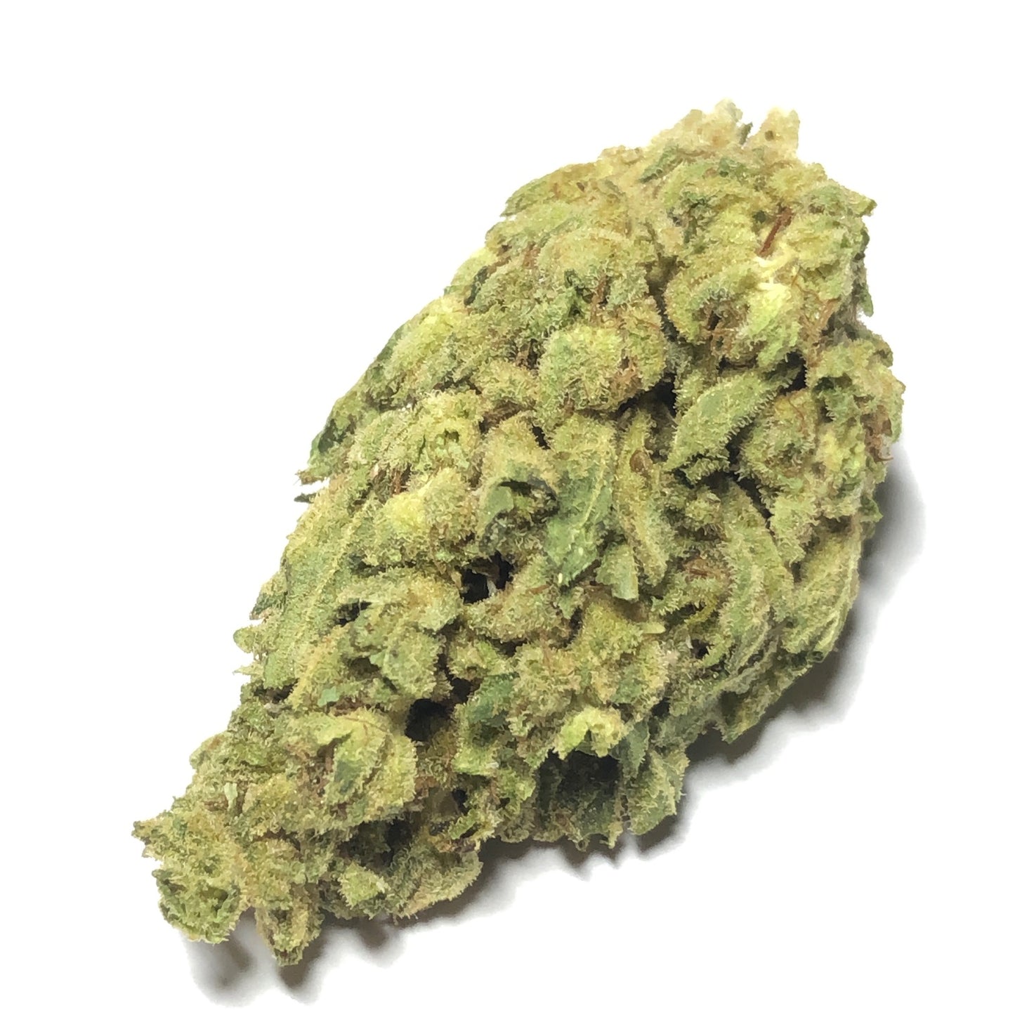 Elmer's Glue