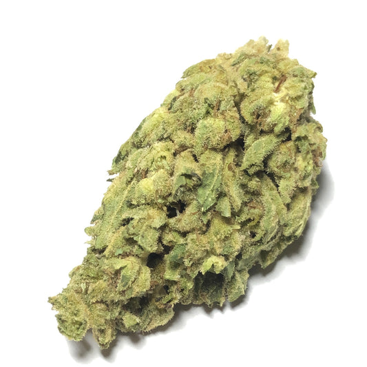 Elmer's Glue