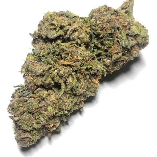 Gush Mintz - $50 1/4 Special!