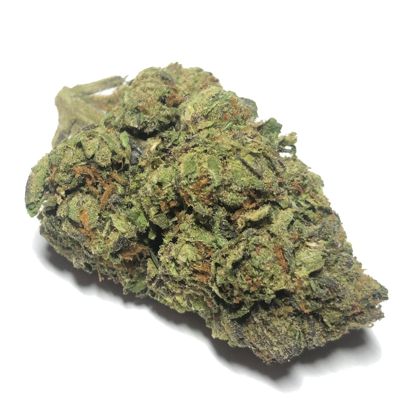 Do-Si-Lato - $49 1/2 Special!