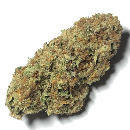 illemonati - $89 1/2 Special!