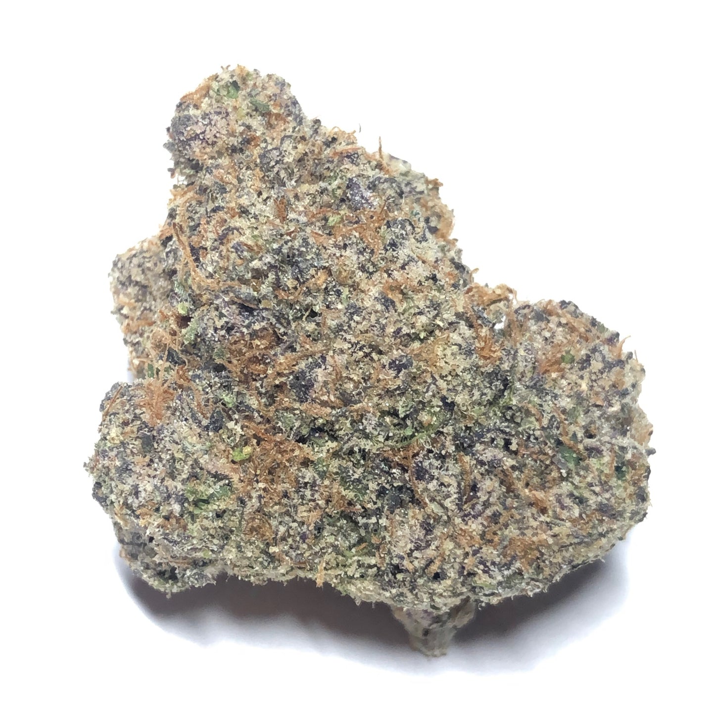 Gelato Sorbet