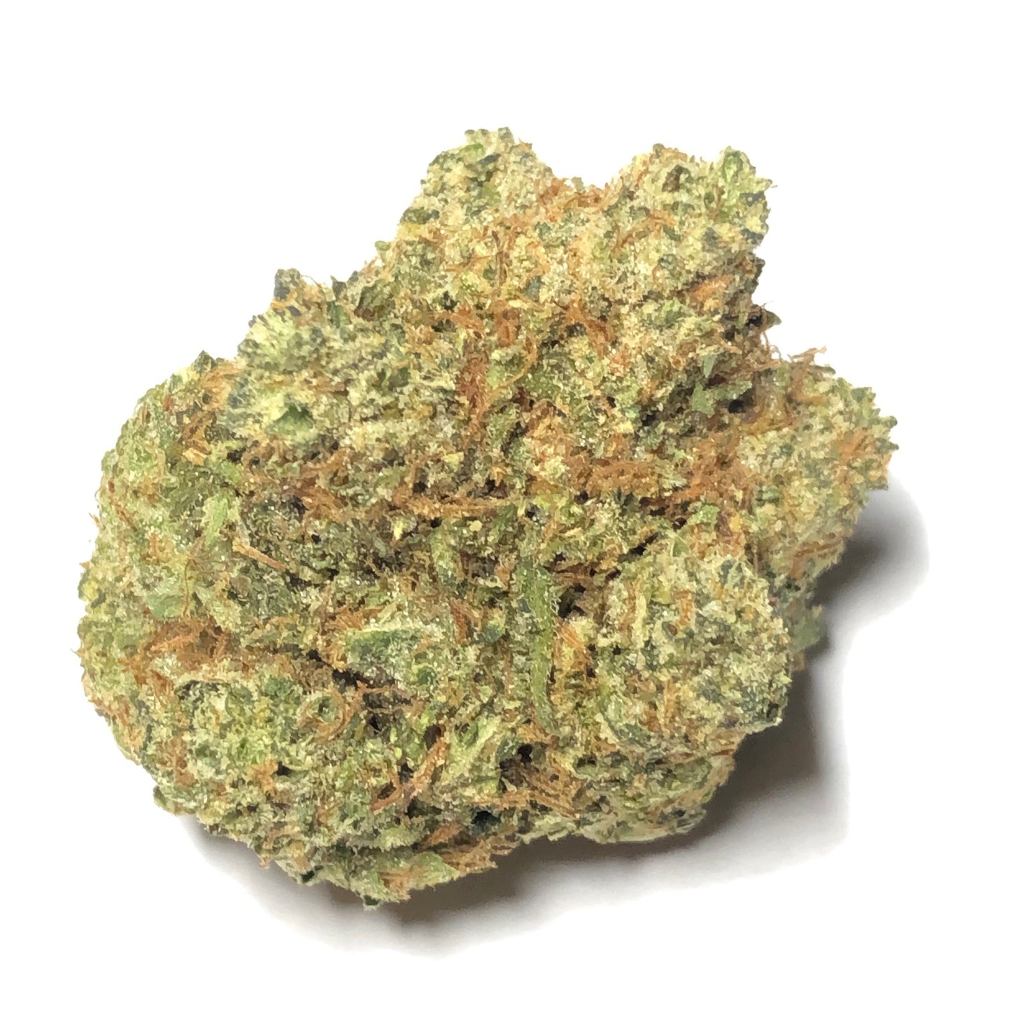 NBK - $40 1/8 Special!